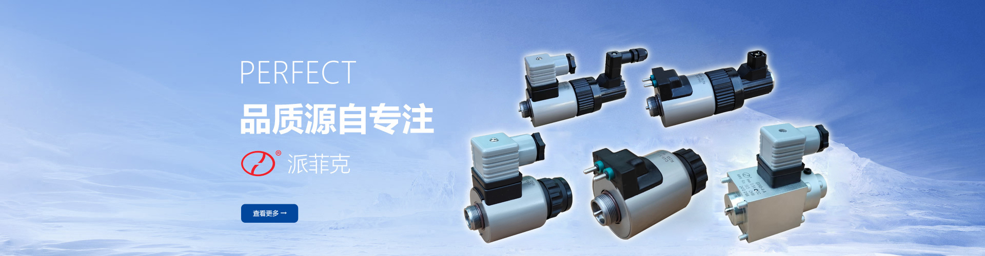 安陽電磁鐵廠家 - 派菲克電磁科技有限公司